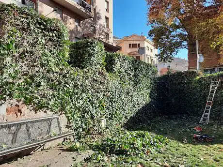 Photo de Plaça LluÃ­s Companys
