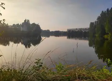 Photo de Étang au Duc