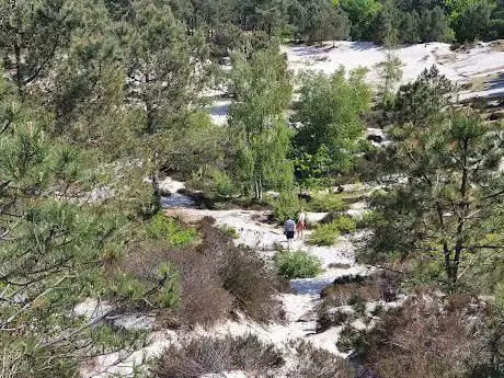 Disc Golf Schoorl