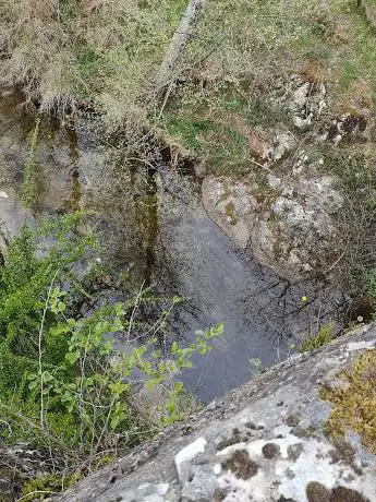 Photo de Le Turzon