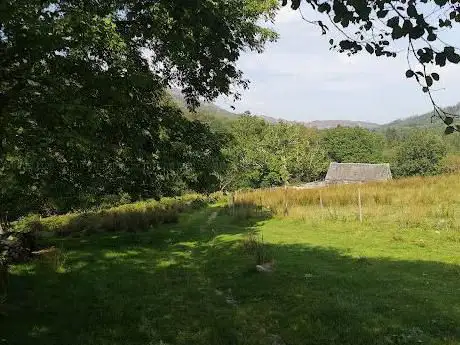 Photo de RSPB Mawddach Woodlands