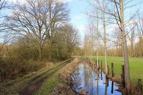 Photo de Cassenbroek