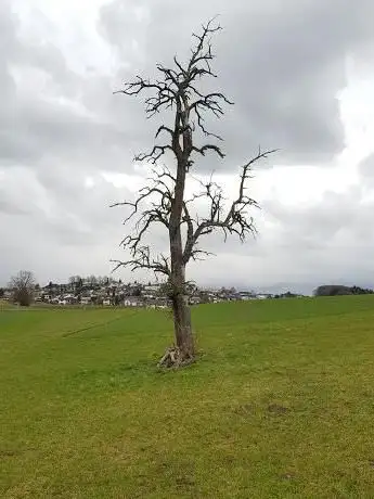 Schrebergarten Gumpisloo