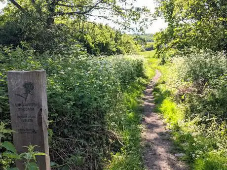 Photo de Prestwick Road Meadows