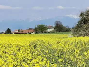 Photo de Réserve naturelle des Marais du château
