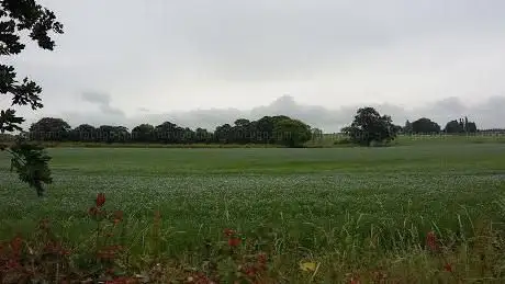 Frickley Estate