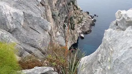 Monti Insani