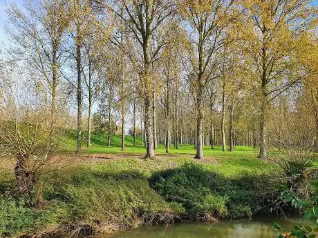Photo de The Poplar Plantation