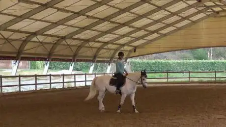 Photo de Cavagliano Riding Club