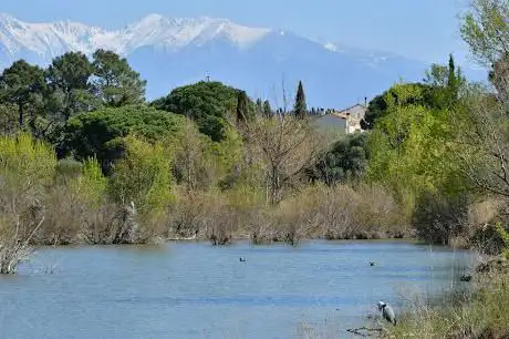 Réserve ornithologique de Villeneuve de la Raho