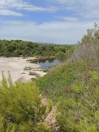 Photo de Llacuna de Mar de Santes Creus - espai protegit