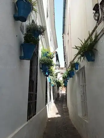 Photo de Flower's square