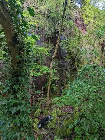 Huckford Quarry Local Nature Reserve