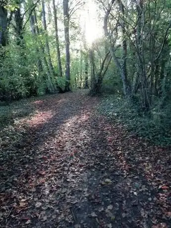 Thatcham Woodland The Plantation & Fishponds