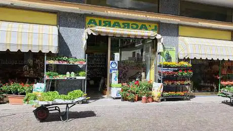 L' agraria di Borla
