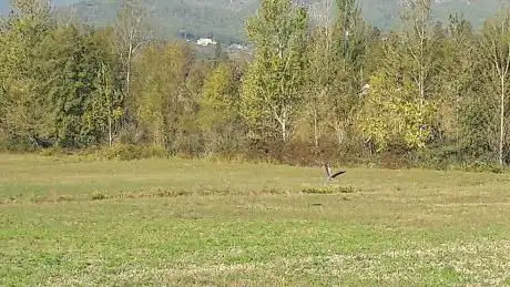 Photo de Passeggiate e Picnic A Maliseti
