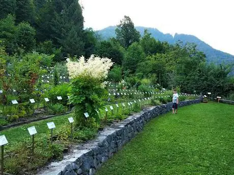 Photo de Giardino dei semplici