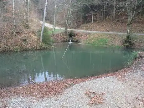Sternweiher