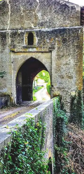 Photo de Château de Tichémont