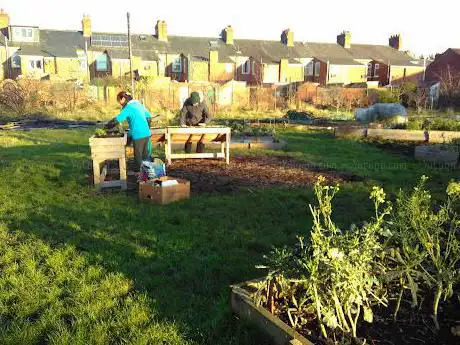 Greenfields Community Garden