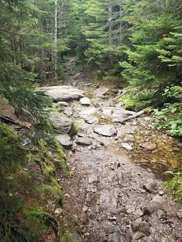 Photo de Monroe Trail - Camel's Hump Trailhead