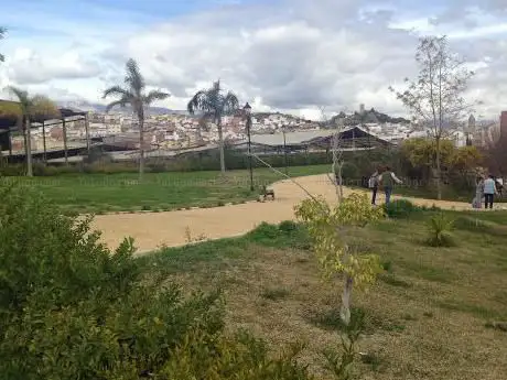Photo de Los Olivos Park