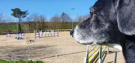 Dorset Showground