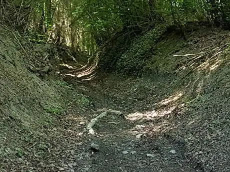 Photo de Bois de Hart