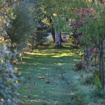 Photo de Marike Garden