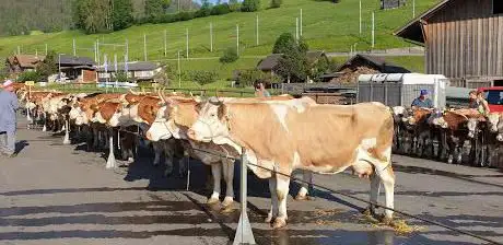 Fussballplatz Zweisimmen