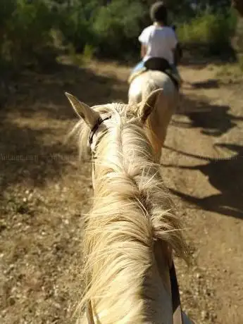 Photo de Rancho 