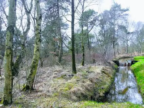 Photo de Reuselse Moeren