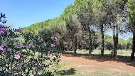 Photo de Pinède de La Grande-Motte