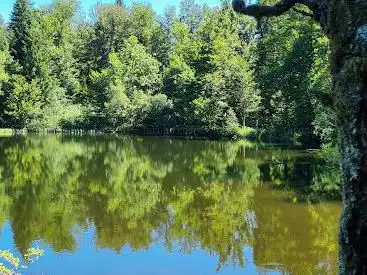 Etang du Chêne