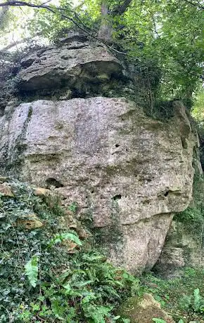 Croscombe Valley Cliffs
