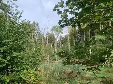Tagelswanger Moor