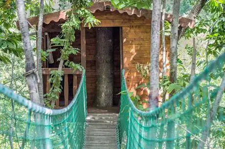 Photo de Tree House