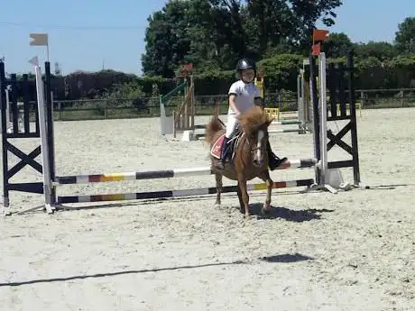Le Haras Des Anges