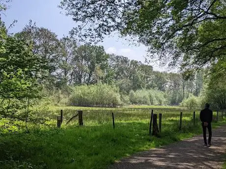 Start Landschapswandeling - Herkenrodebos