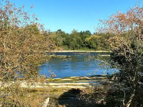 Photo de Canoe Garonne