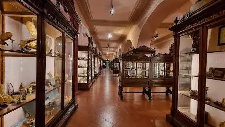 Photo de MUSA - Museo Universitario delle Scienze e delle Arti