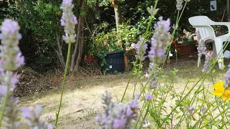 Photo de Bexley Allotments