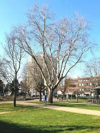 Photo de Parc Pablo Neruda