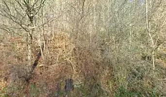 Réserve Naturelle La Chautière