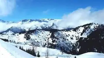 Photo de Le Chard du Beurre