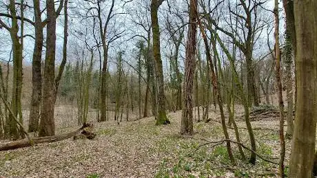Oasi WWF Bosco Del Lago