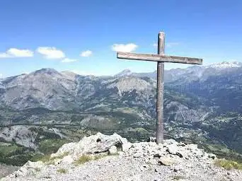 Roche Cline