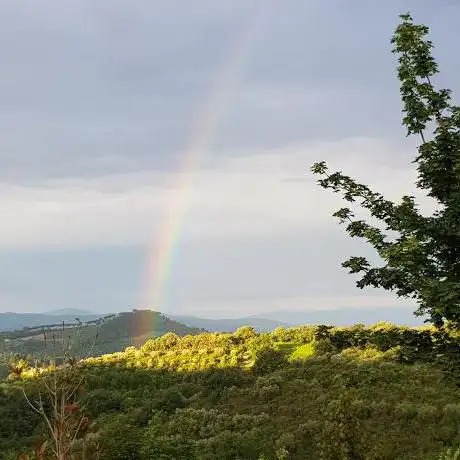Photo de La Stalla del Ciuchino