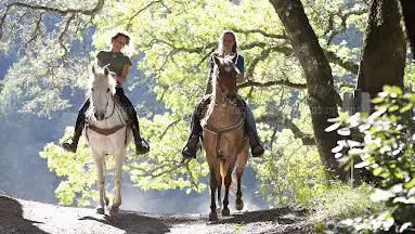 Photo de Poney Club Etrets