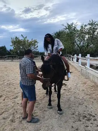 Photo de Scuderia Pellegrini Horses